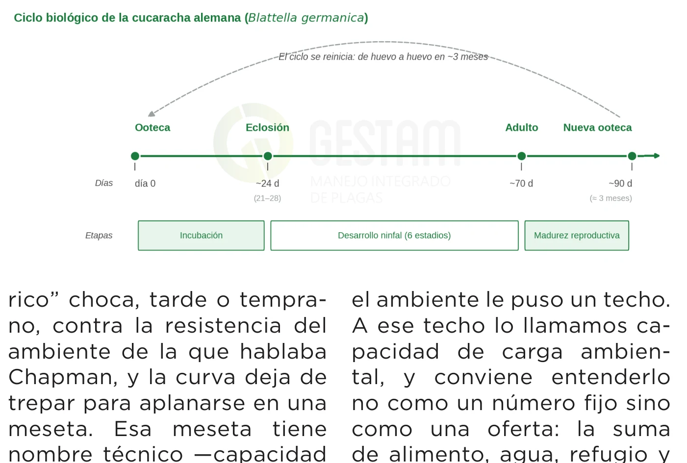 Crecimiento poblacional de Blattella germanica