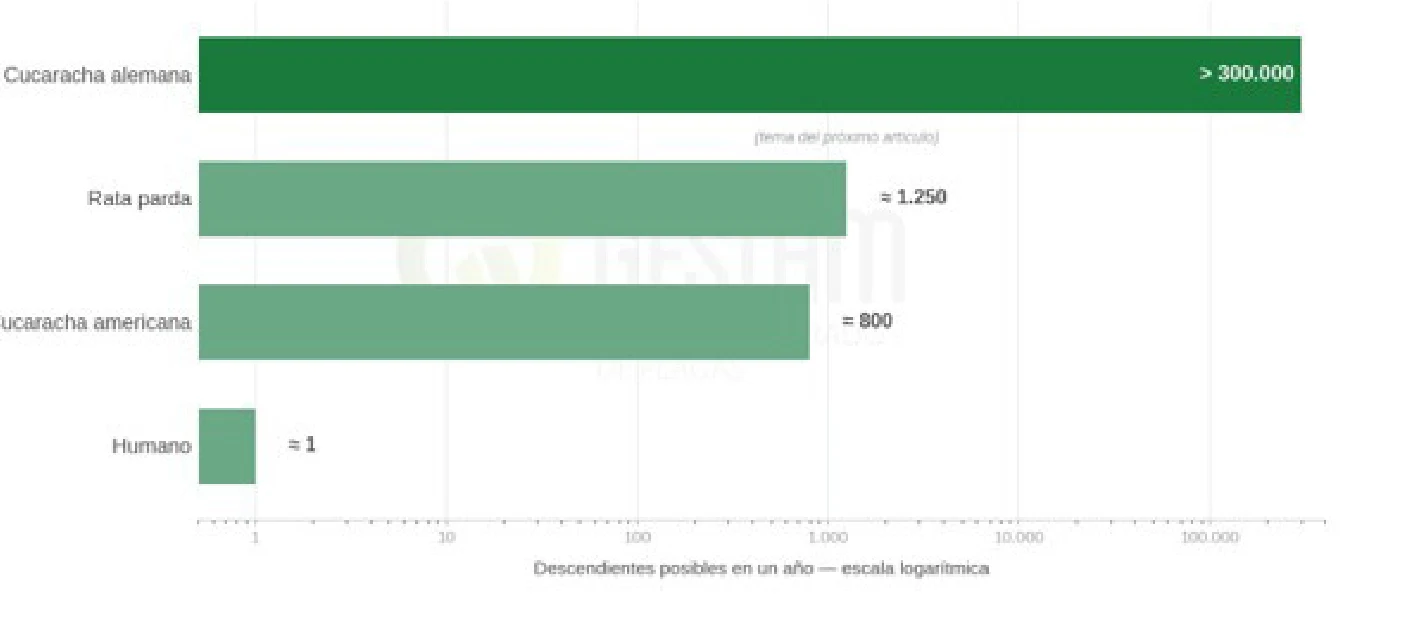 Potencial reproductivo comparativo para igual tiempo generacional