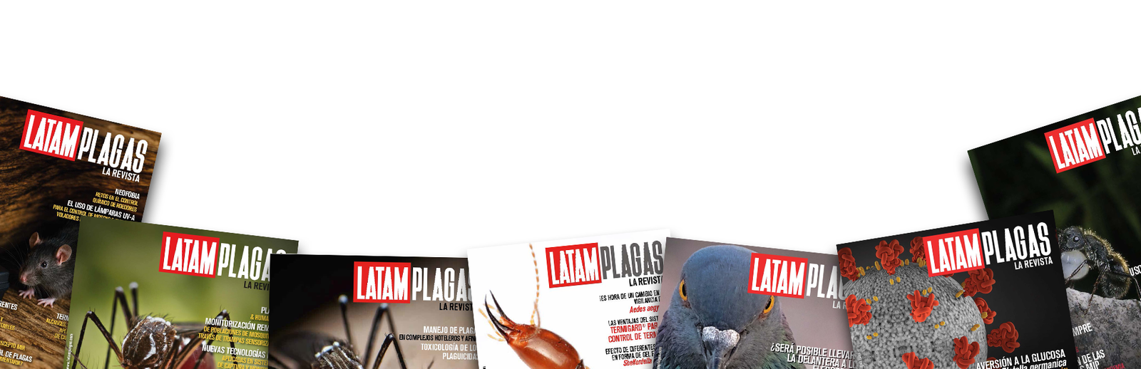Latam Plagas covers