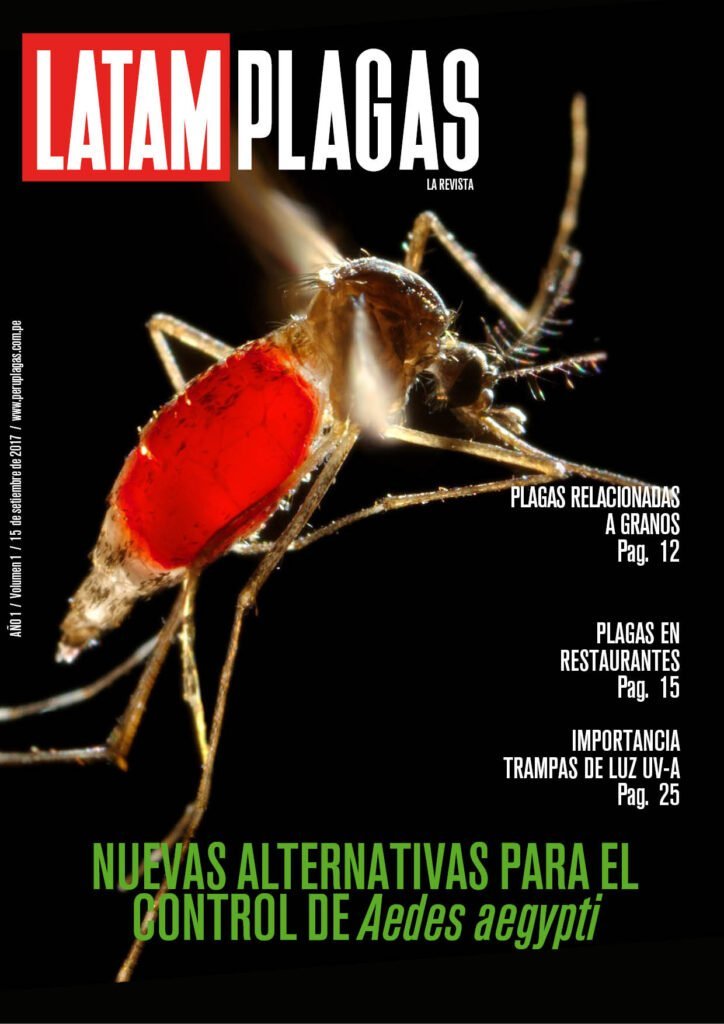 Portada Edición N° 1
