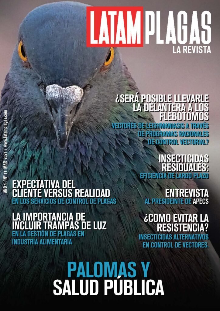 Portada Edición N° 11