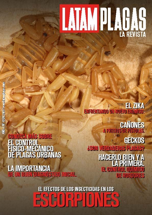 Portada Edición N° 13