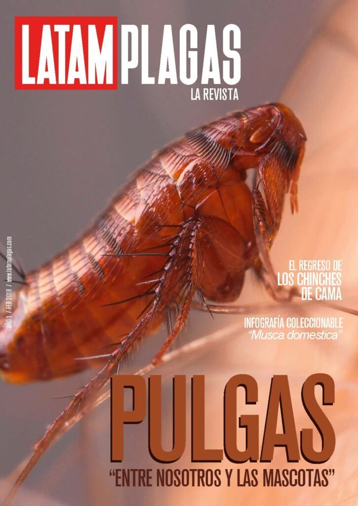 Portada Edición N° 3