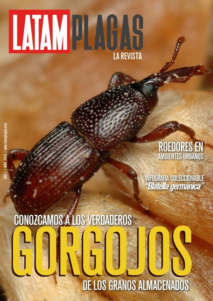 Portada Edición N° 4