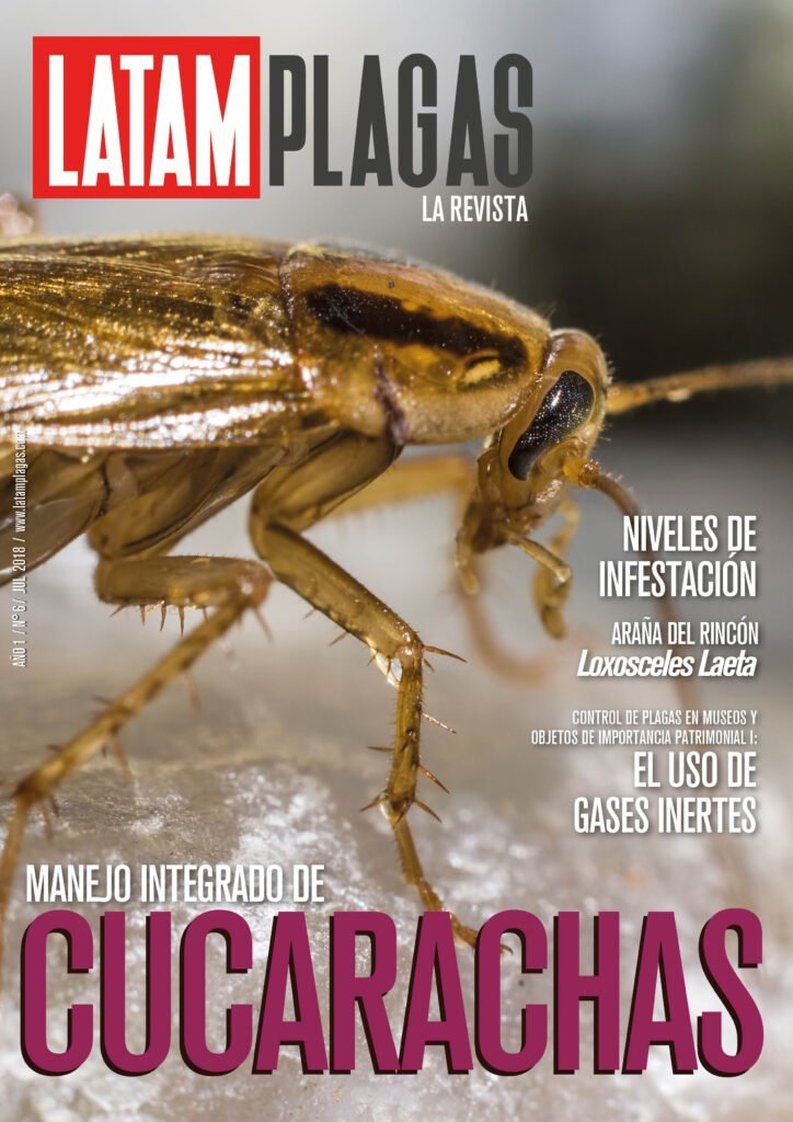 Portada Edición N° 6