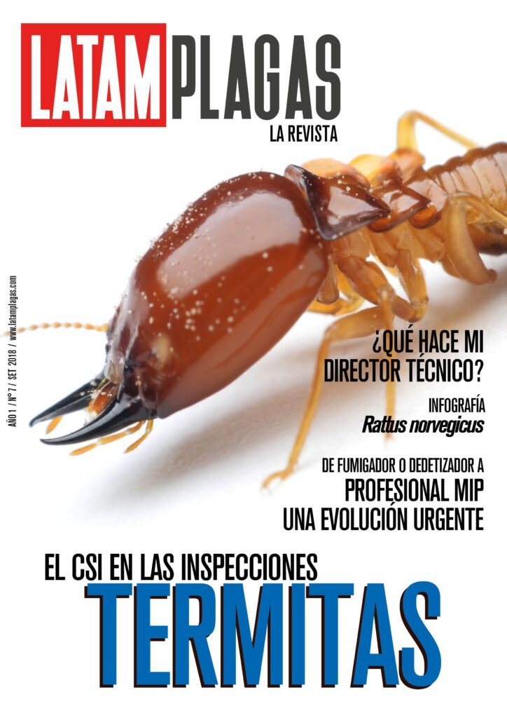 Portada Edición N° 7