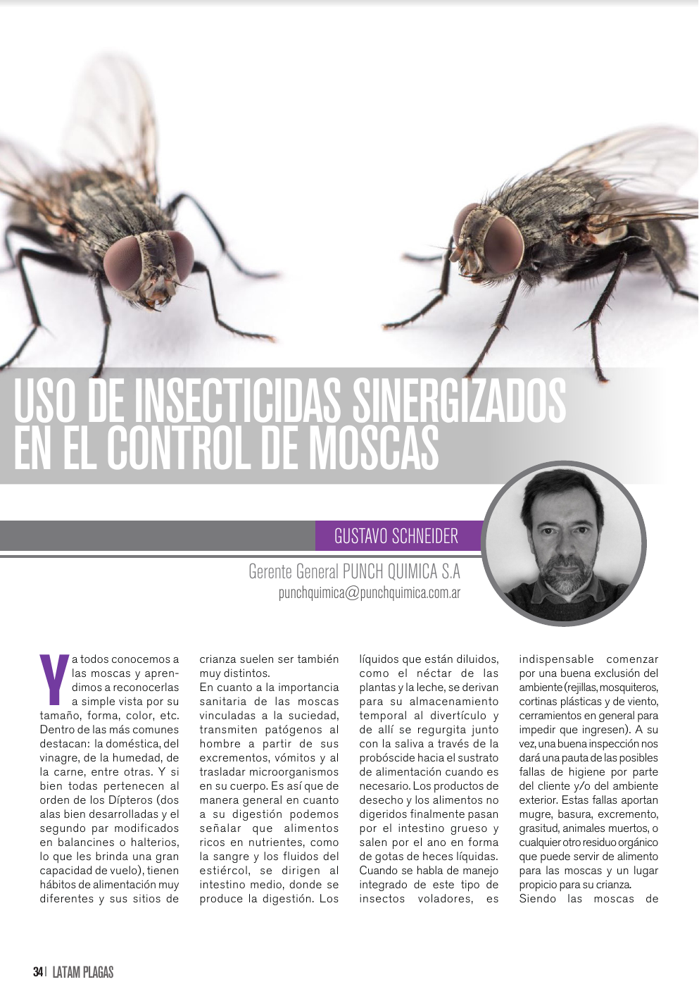 Apertura del artículo sobre insecticidas sinergizados para control de moscas