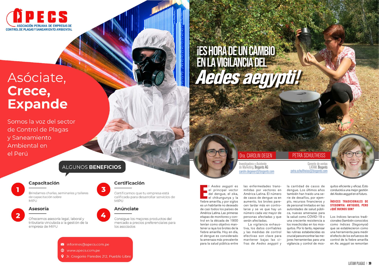 Apertura del artículo sobre vigilancia del Aedes aegypti
