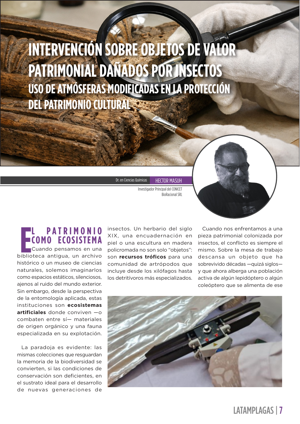 Apertura del artículo sobre objetos de valor patrimonial dañados por insectos