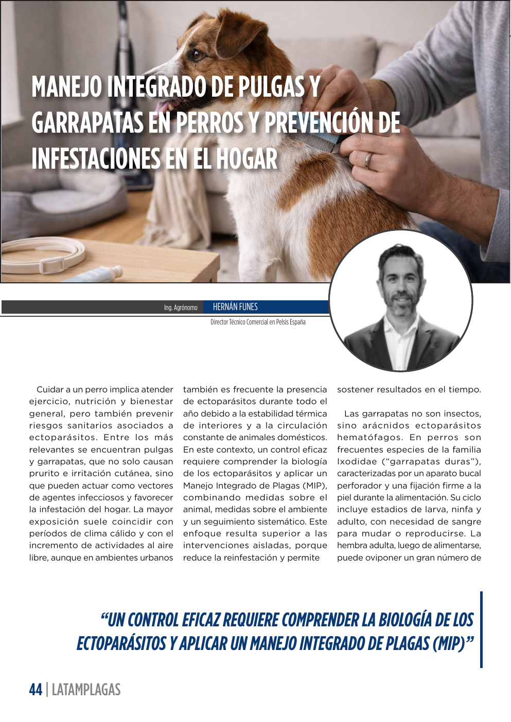 Apertura del artículo sobre pulgas y garrapatas en perros