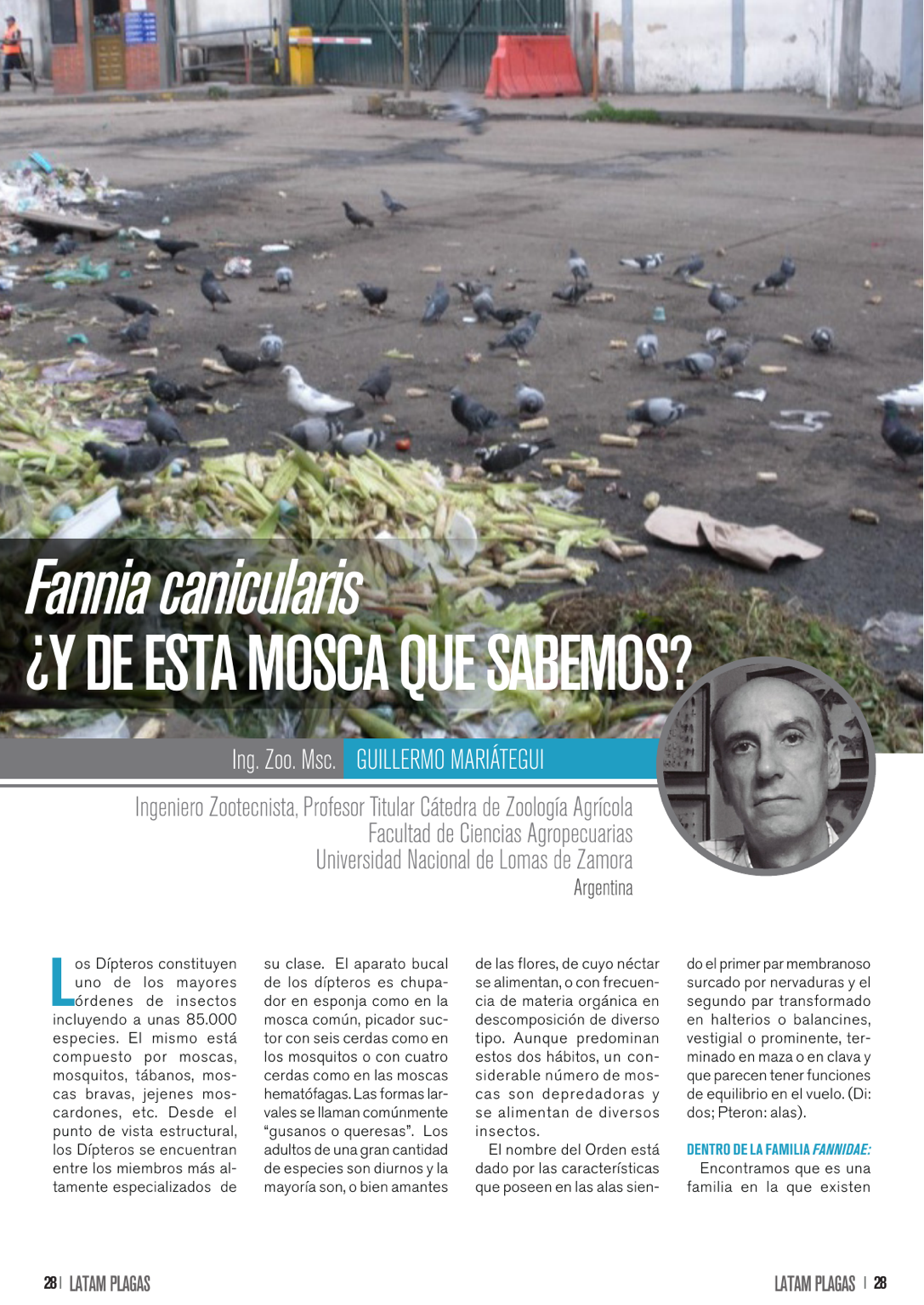 Apertura del artículo sobre Fannia canicularis