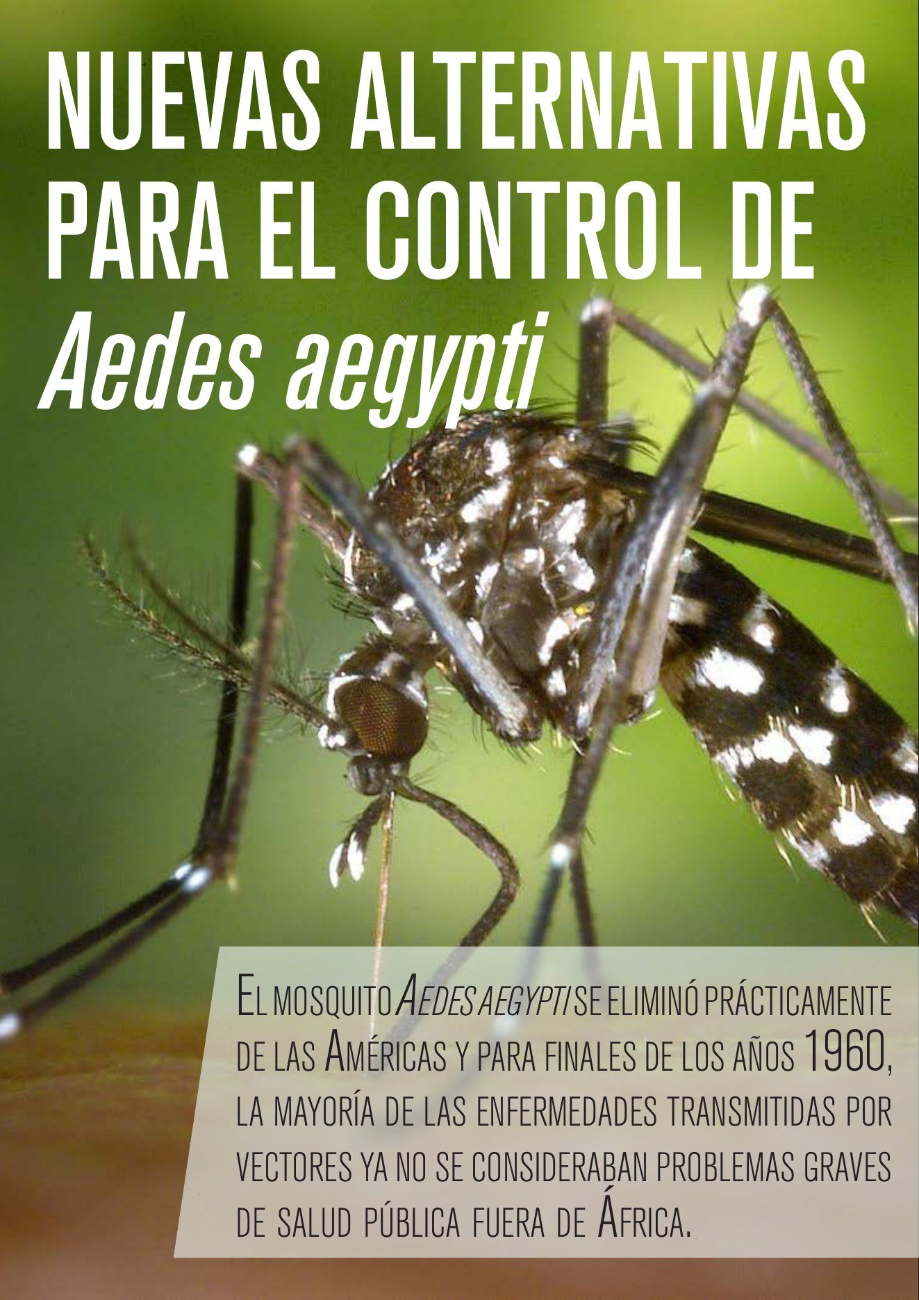 Apertura del artículo sobre control de Aedes aegypti