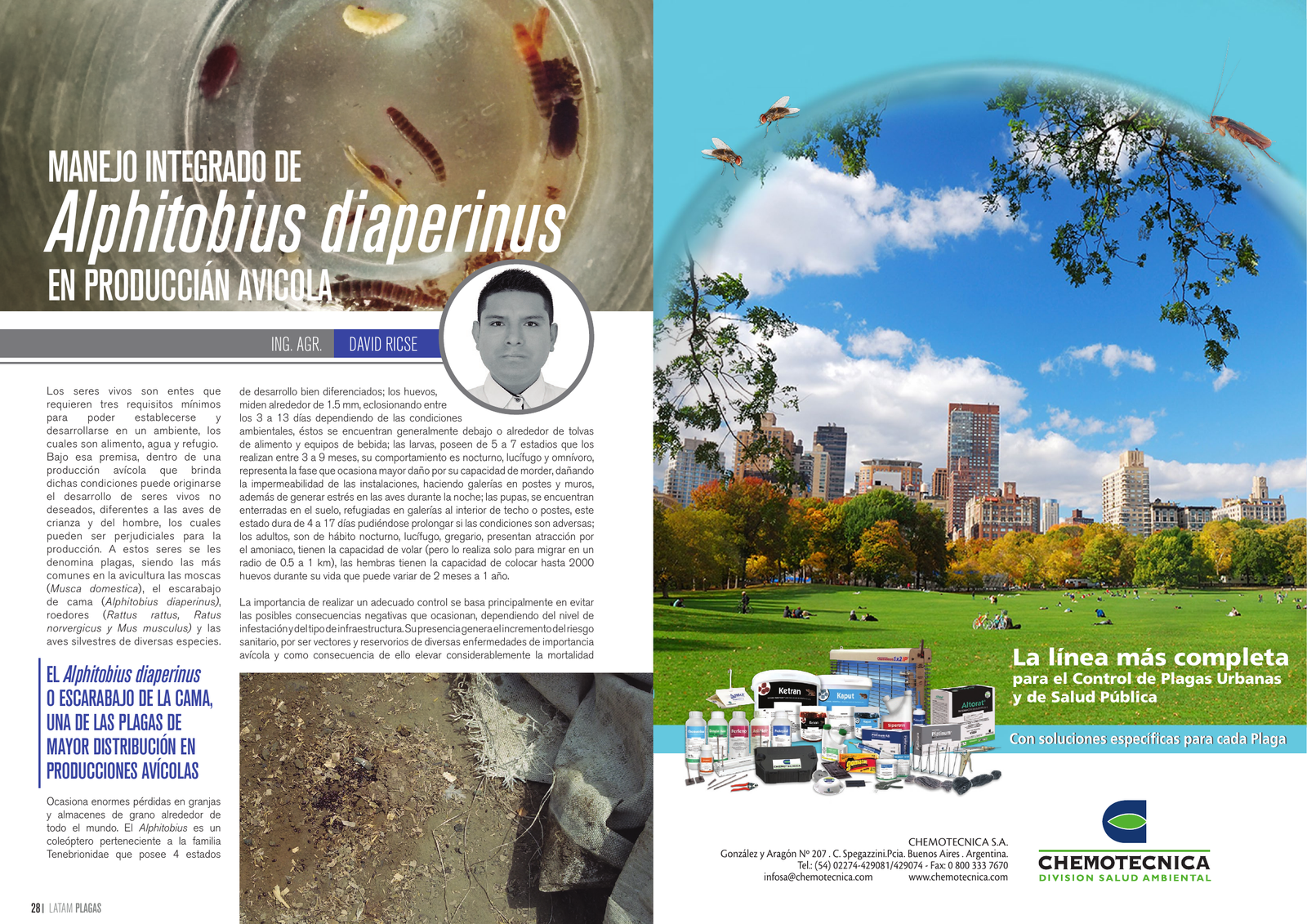 Apertura del artículo sobre Alphitobius diaperinus en producción avícola