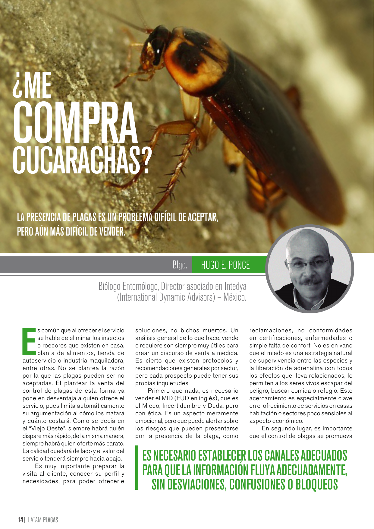 Apertura del artículo sobre venta de servicios de control de cucarachas