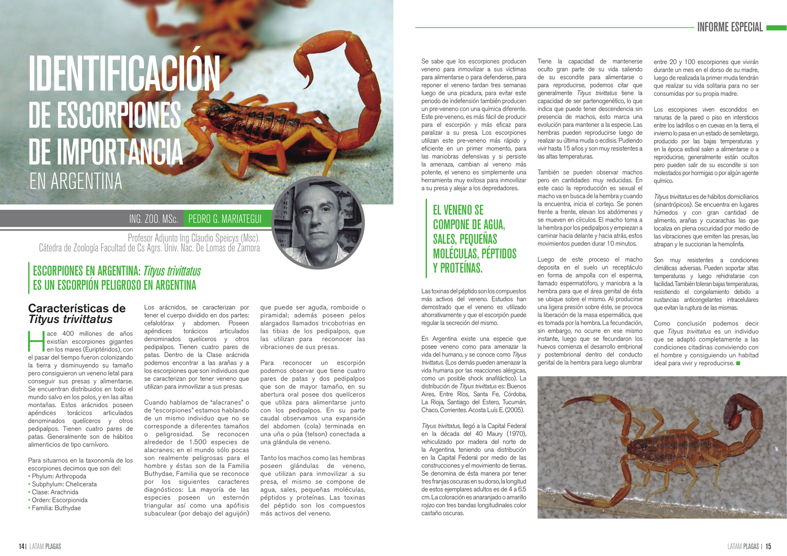 Apertura del artículo sobre escorpiones de importancia en Argentina