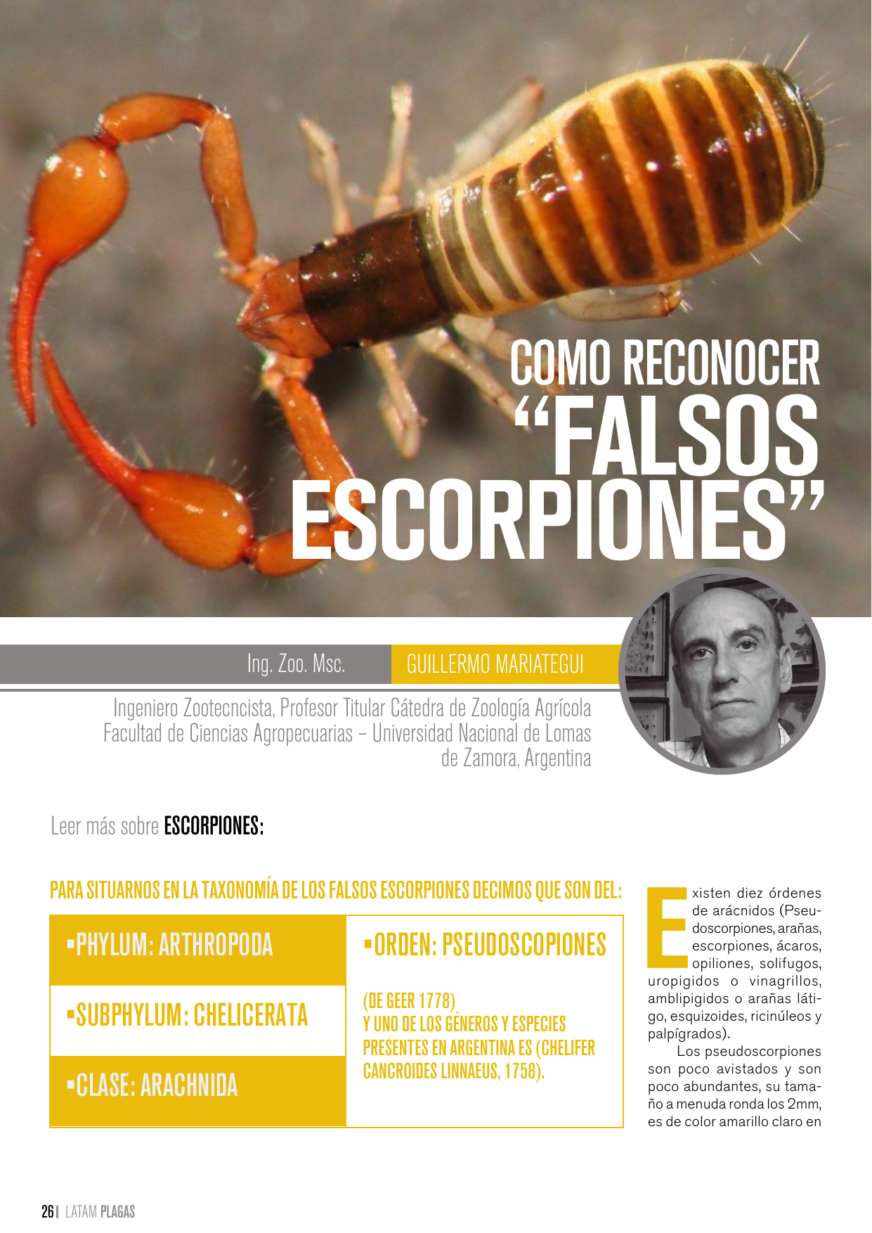 Apertura del artículo sobre cómo reconocer falsos escorpiones
