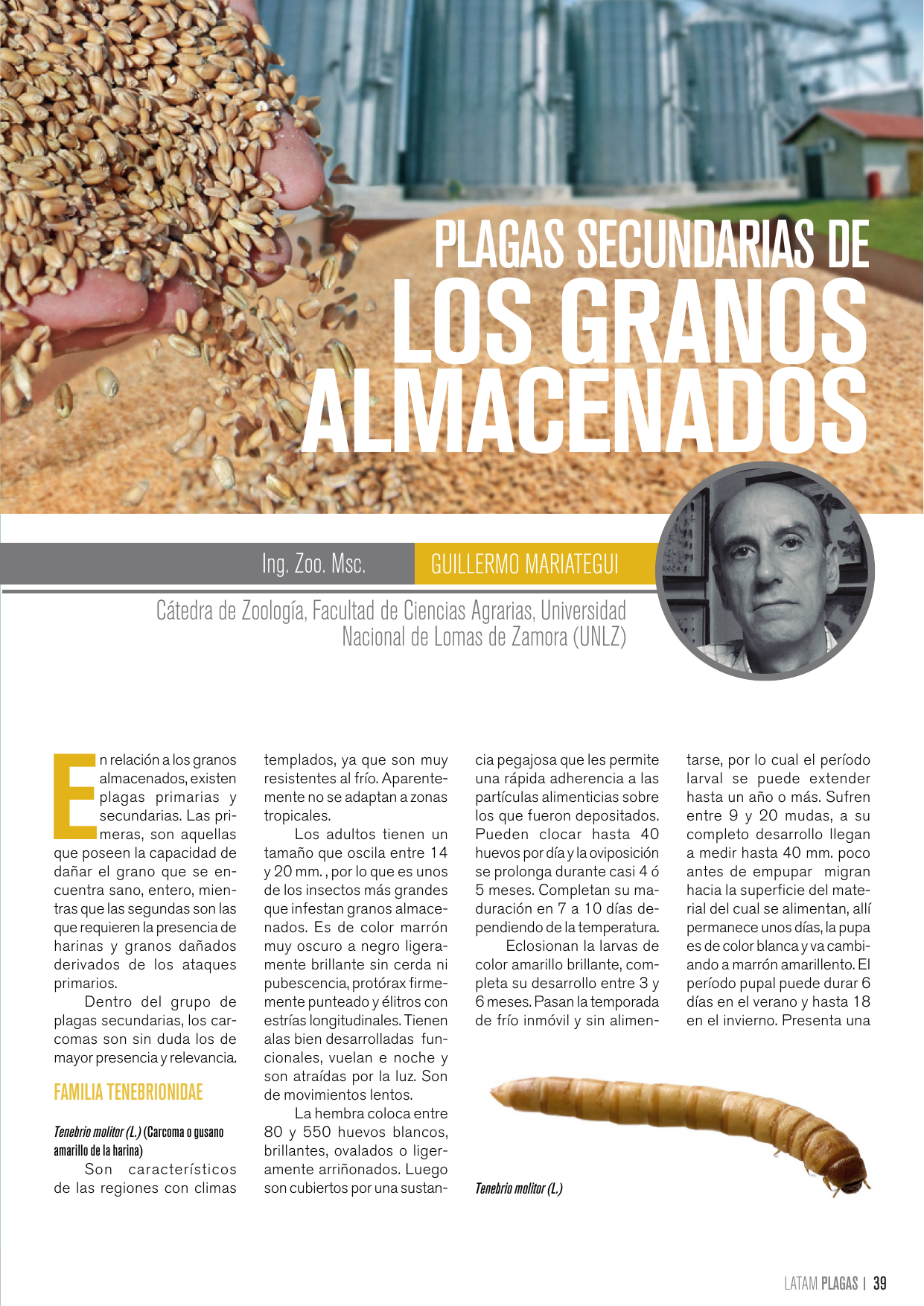 Apertura del artículo sobre plagas secundarias de los granos almacenados
