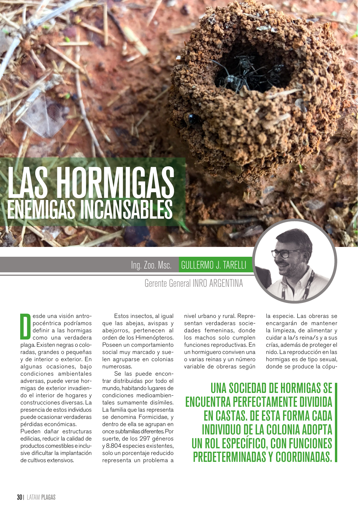 Apertura del artículo sobre hormigas enemigas incansables