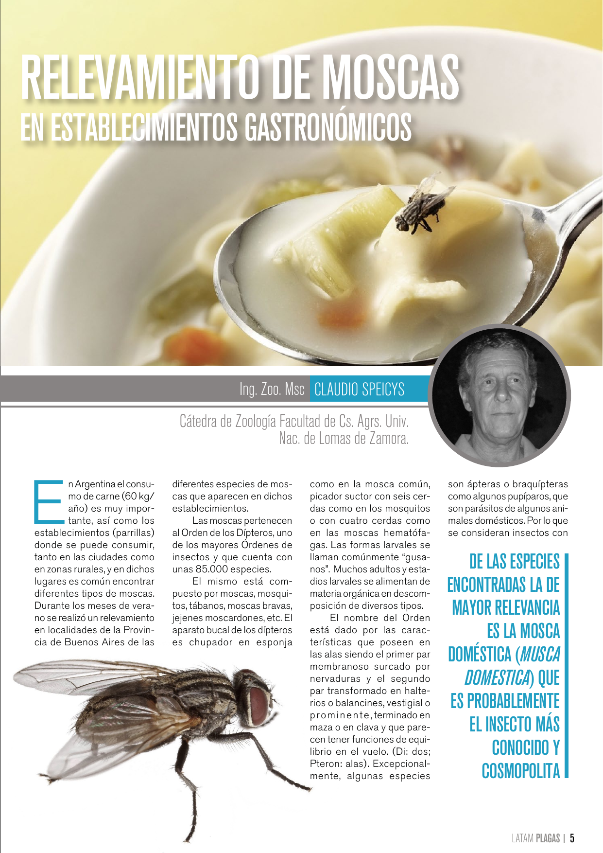 Apertura del artículo sobre relevamiento de moscas en establecimientos gastronómicos