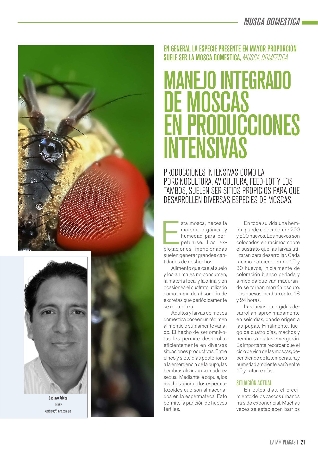 Apertura del artículo sobre manejo integrado de moscas