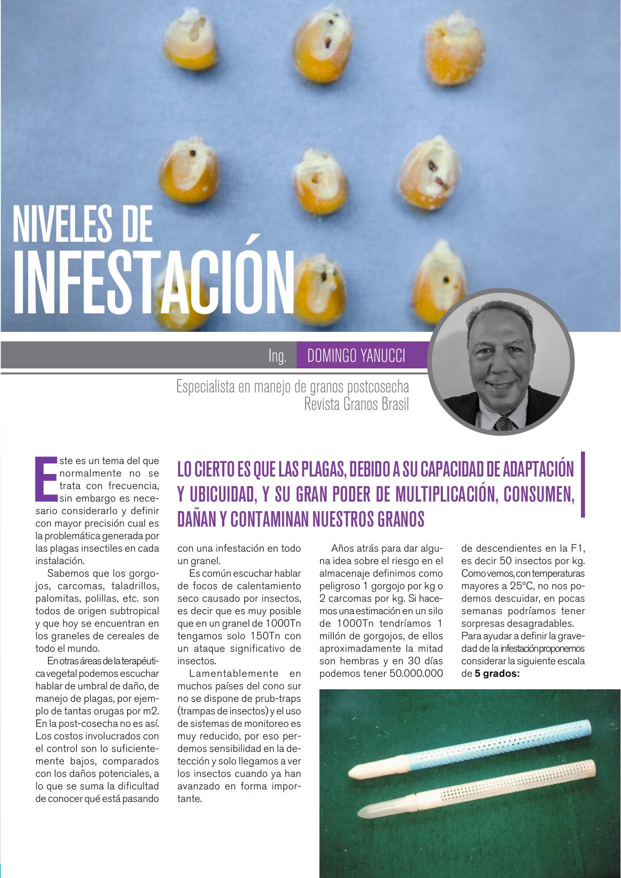 Apertura del artículo sobre niveles de infestación en granos almacenados