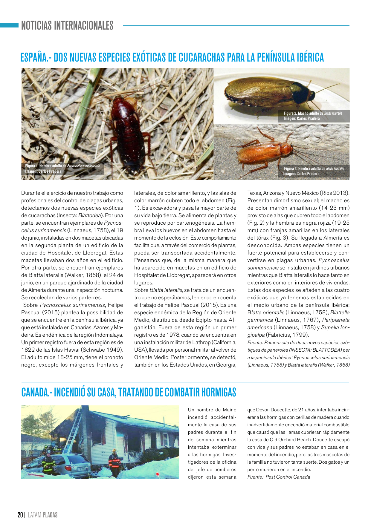 Apertura de la sección de noticias internacionales de la quinta edición