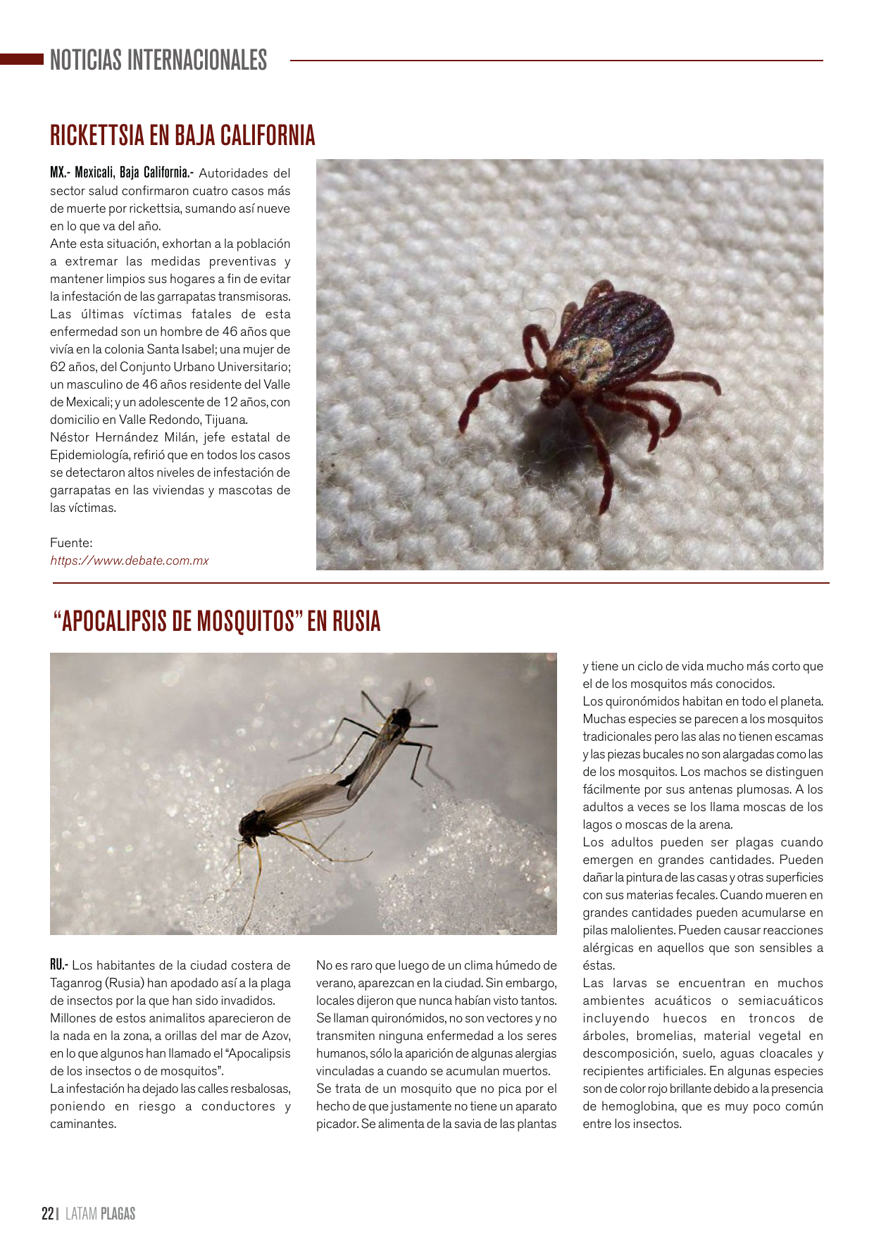 Apertura de la sección de noticias internacionales de la séptima edición