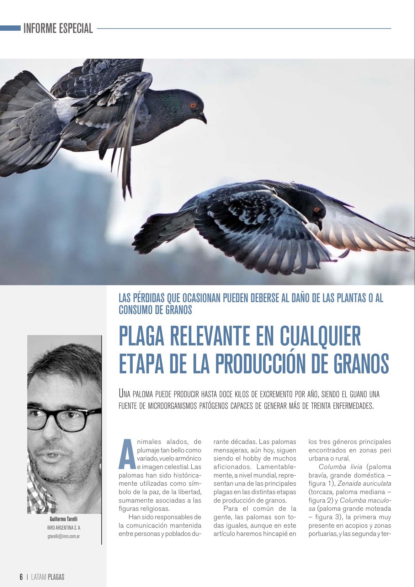 Apertura del artículo sobre palomas en la producción de granos