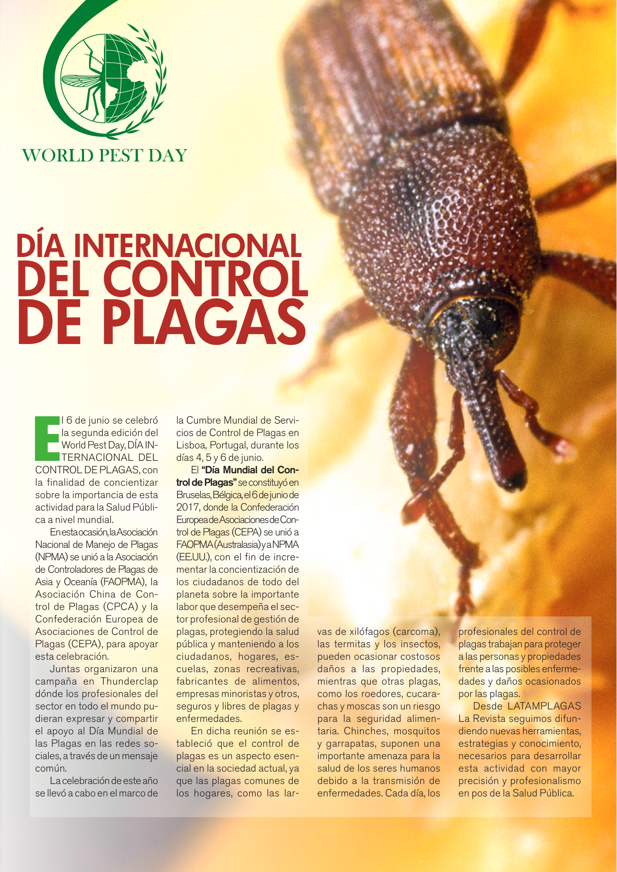 Apertura de la nota sobre el Día Internacional del Control de Plagas