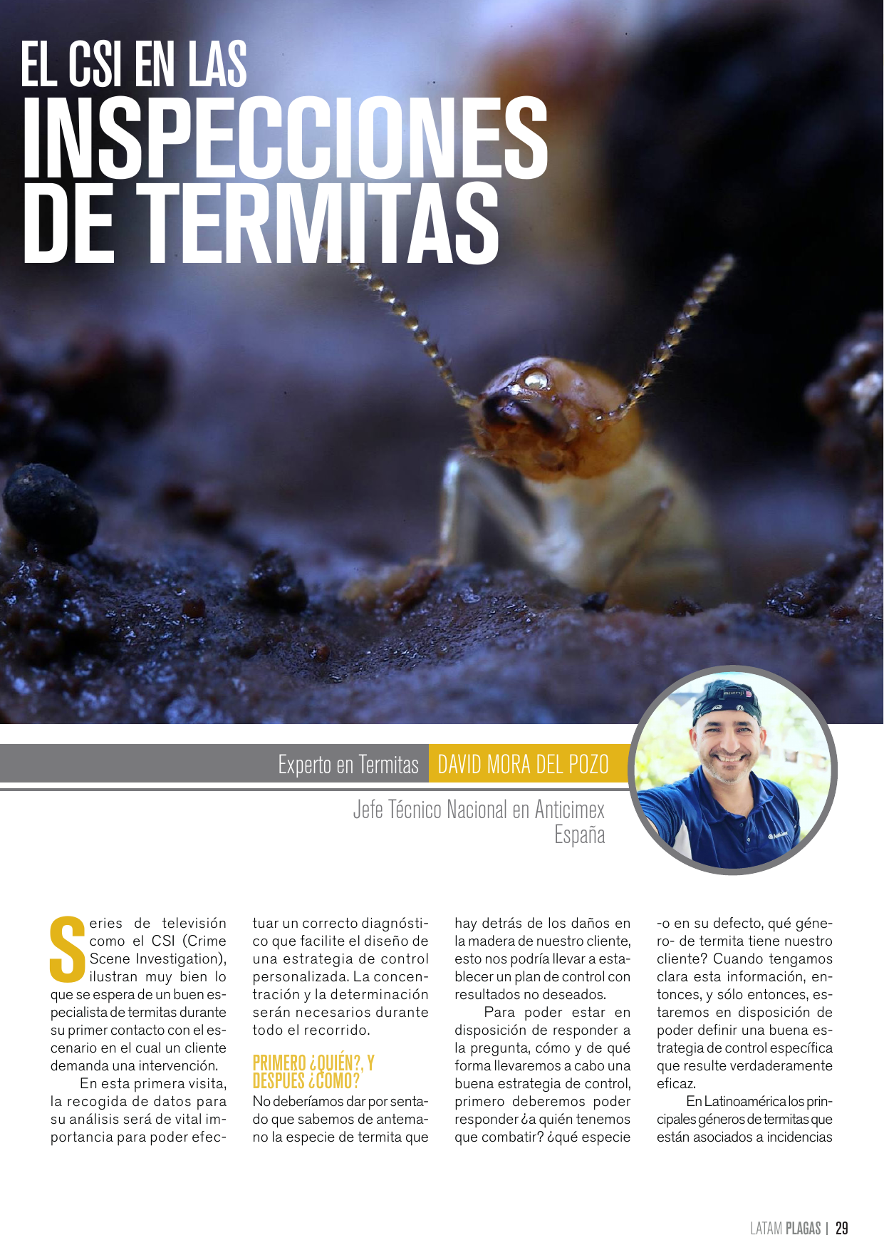 Apertura del artículo sobre inspecciones de termitas