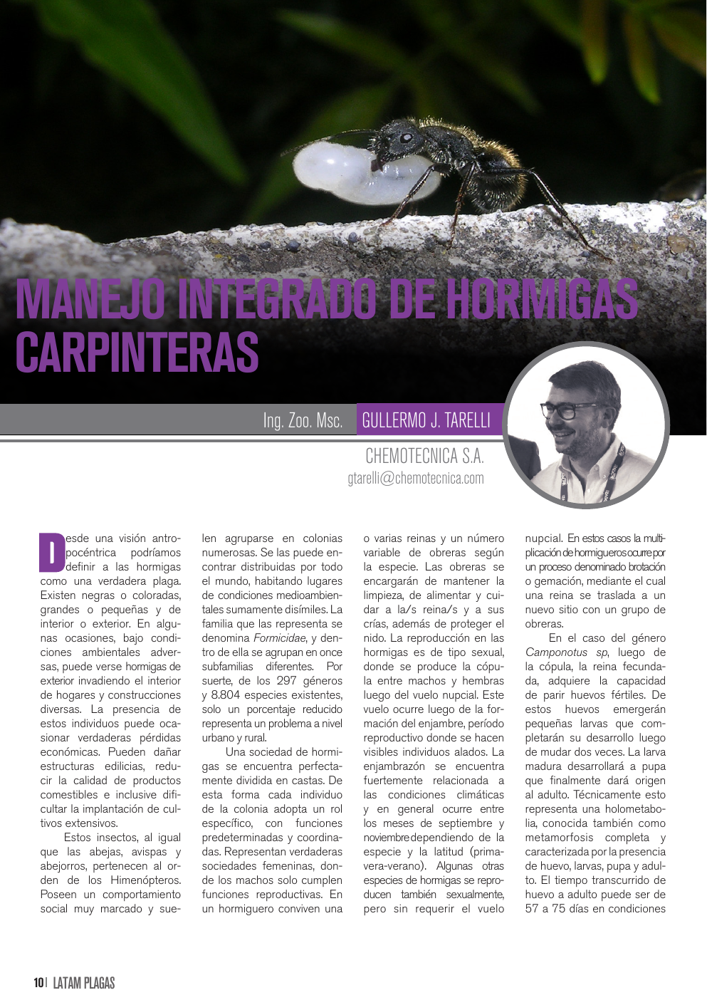 Apertura del artículo sobre manejo integrado de hormigas carpinteras
