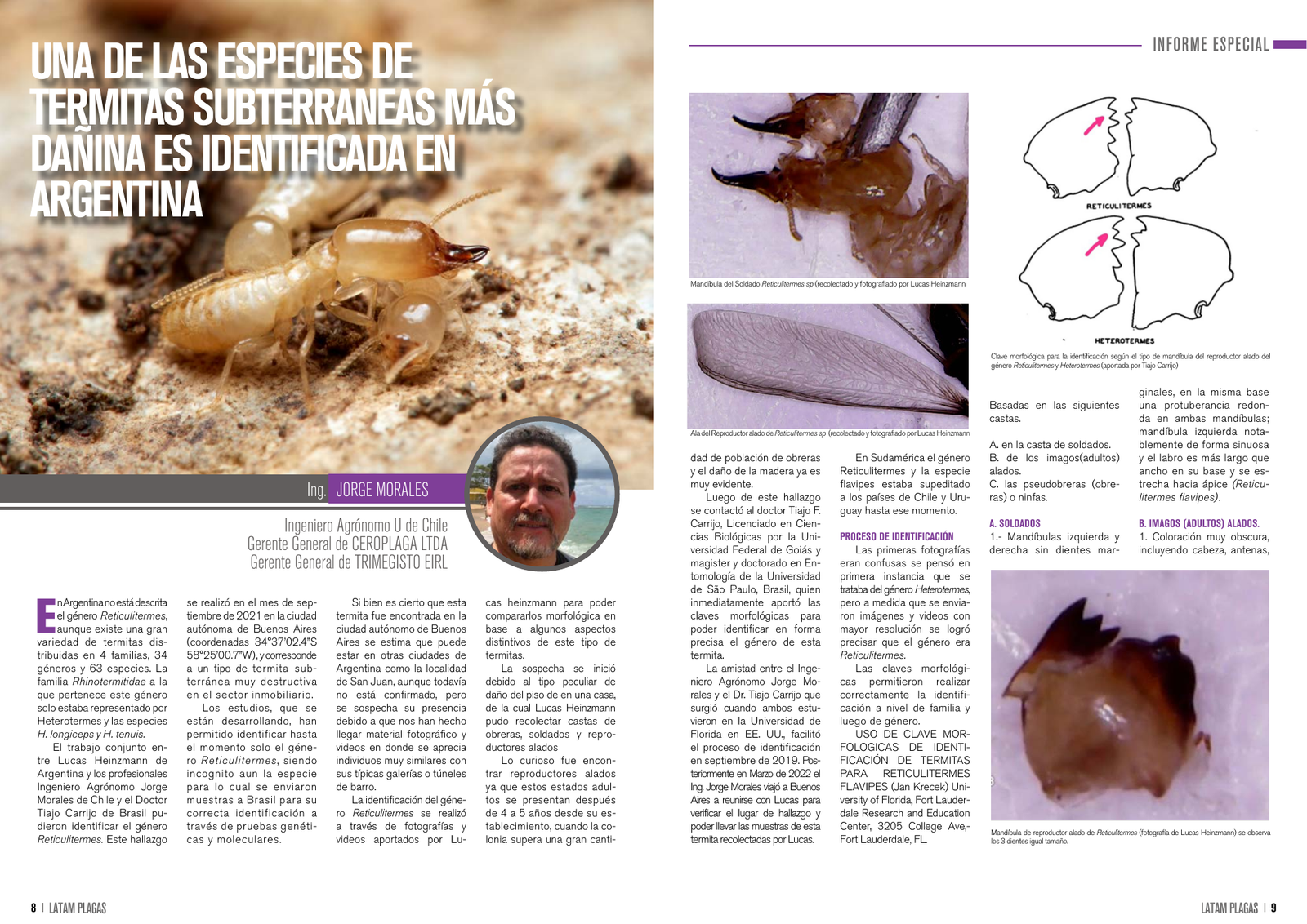 Apertura del artículo sobre termitas subterráneas identificadas en Argentina