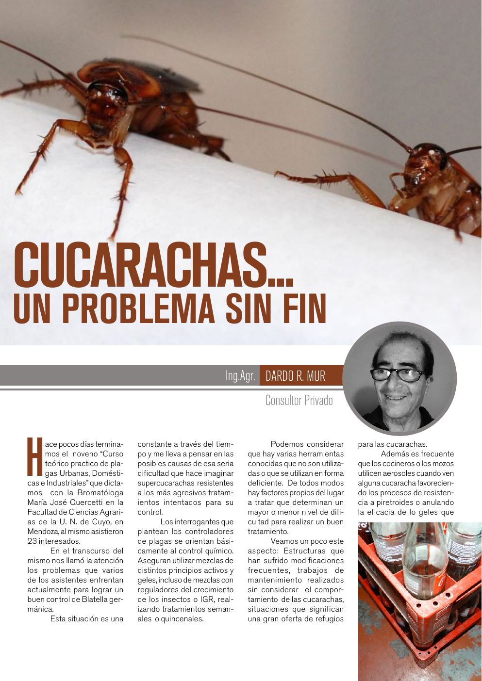 Apertura del artículo sobre cucarachas
