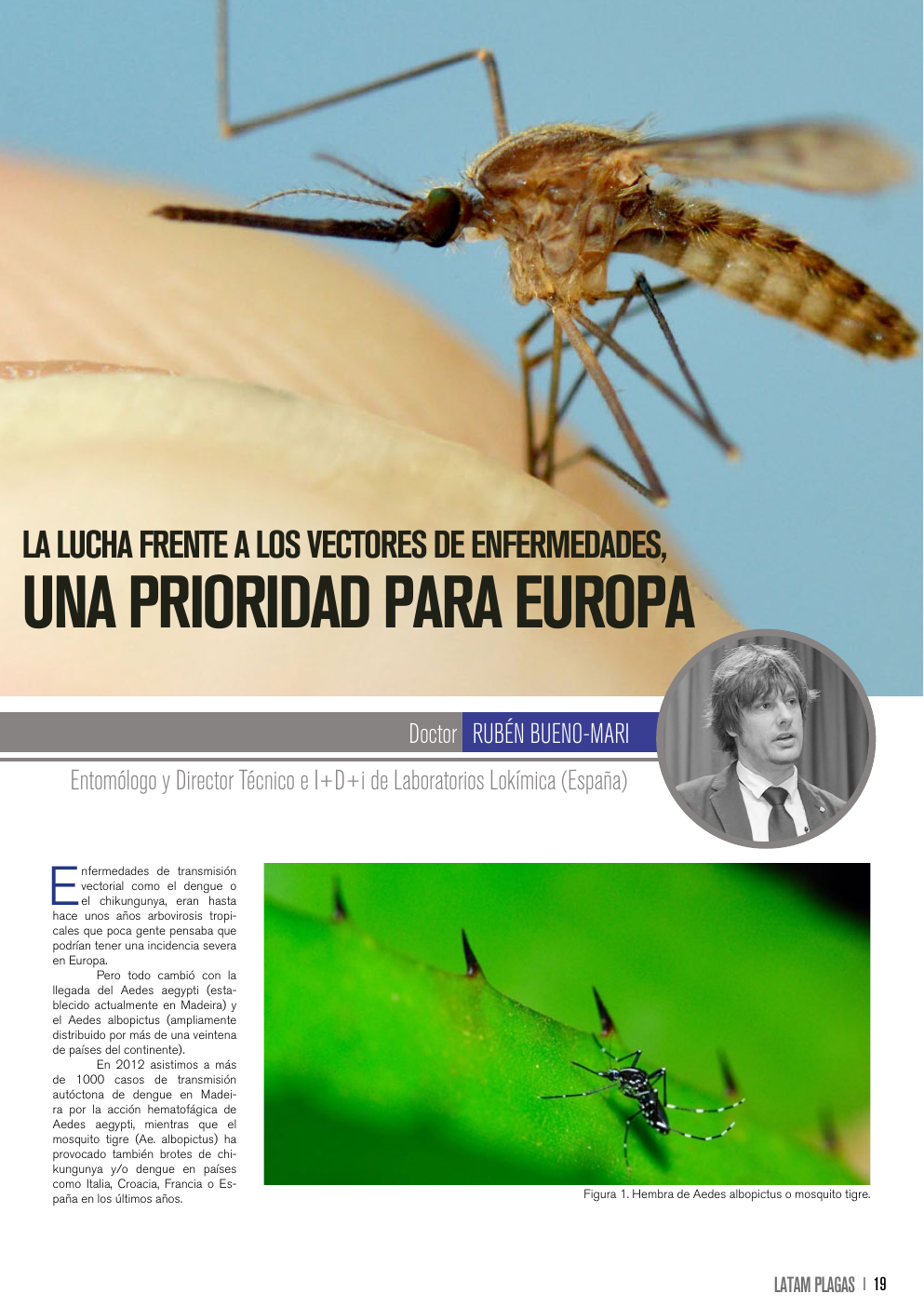 Apertura del artículo sobre vectores de enfermedades en Europa