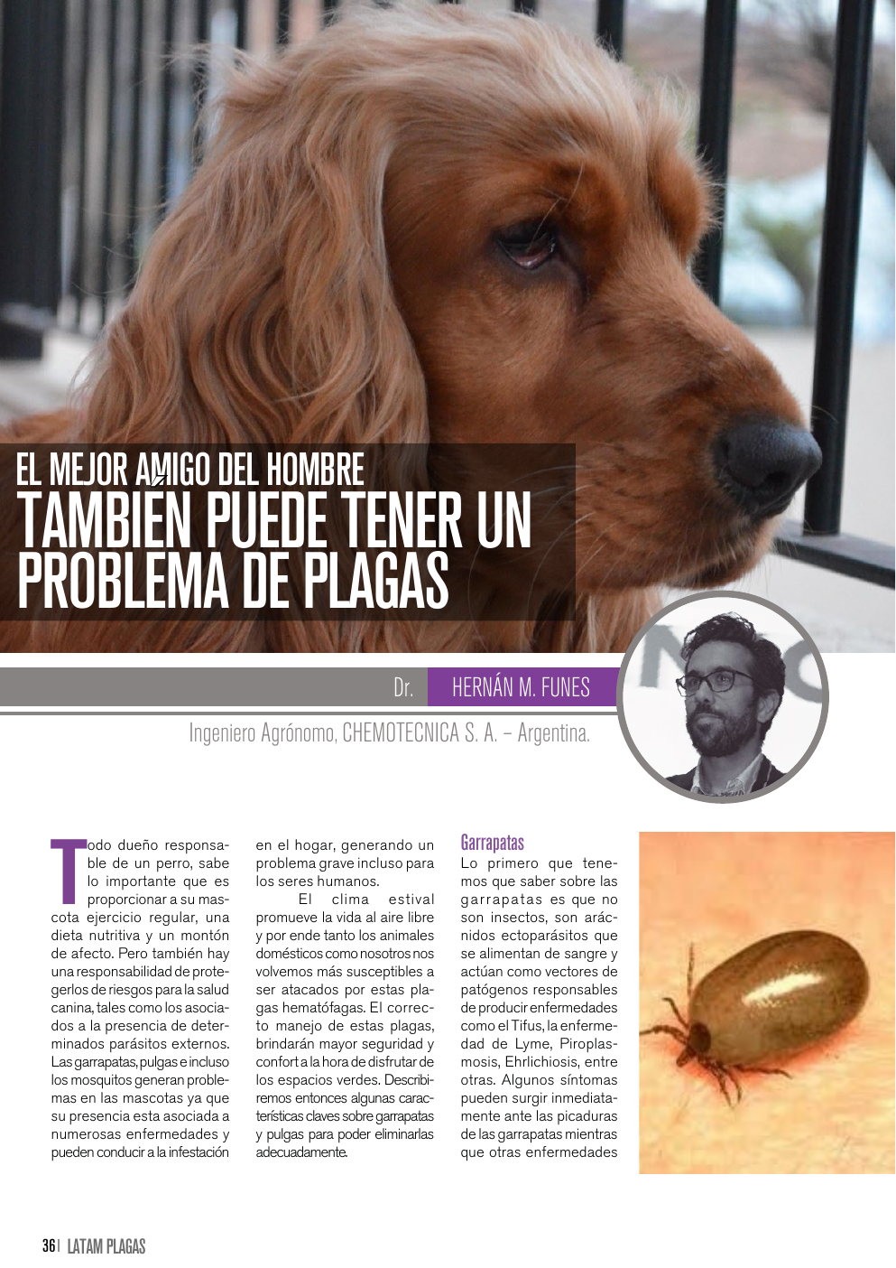 Apertura del artículo sobre pulgas y garrapatas en mascotas